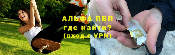 гидра Алексин