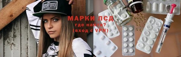 ГАЛЛЮЦИНОГЕННЫЕ ГРИБЫ Аркадак