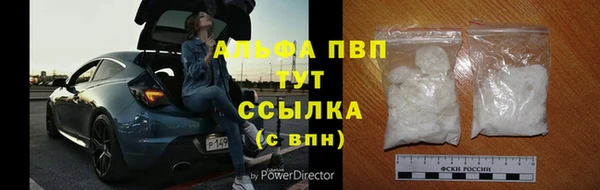 jwh Алзамай