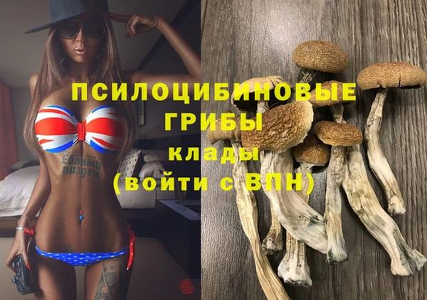 гидра Алексин